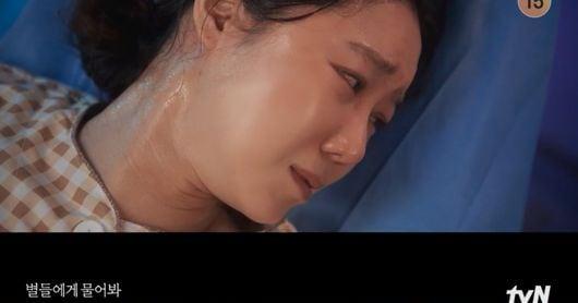 별들에게 물어봐