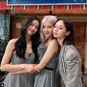 로제
